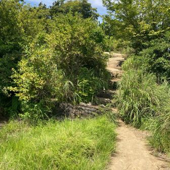 大平山のとっかかり