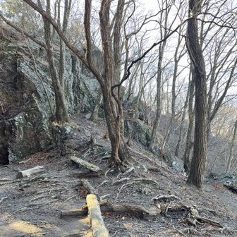 雷神岳神社まで戻ってきました🚶‍♀️
さあ、縦走のスタートだ💪