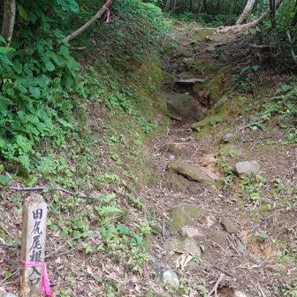 田尻尾根登山口に到着
なんとか狙った時間で下山できました