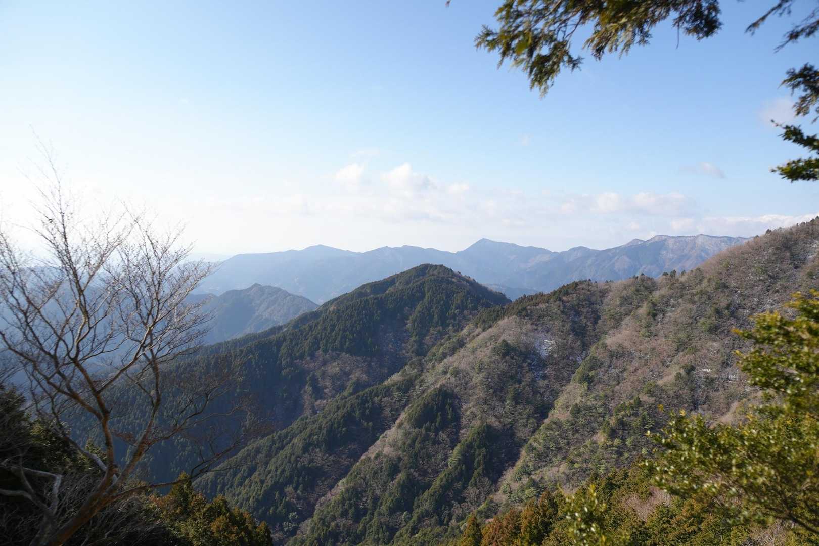 展望所から