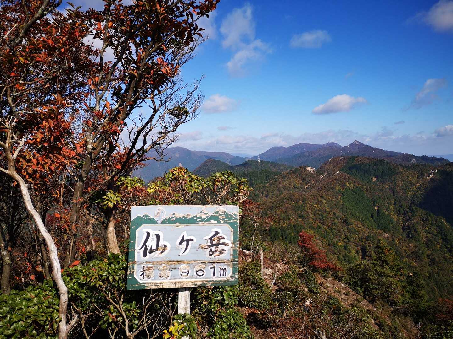 仙ヶ岳の写真