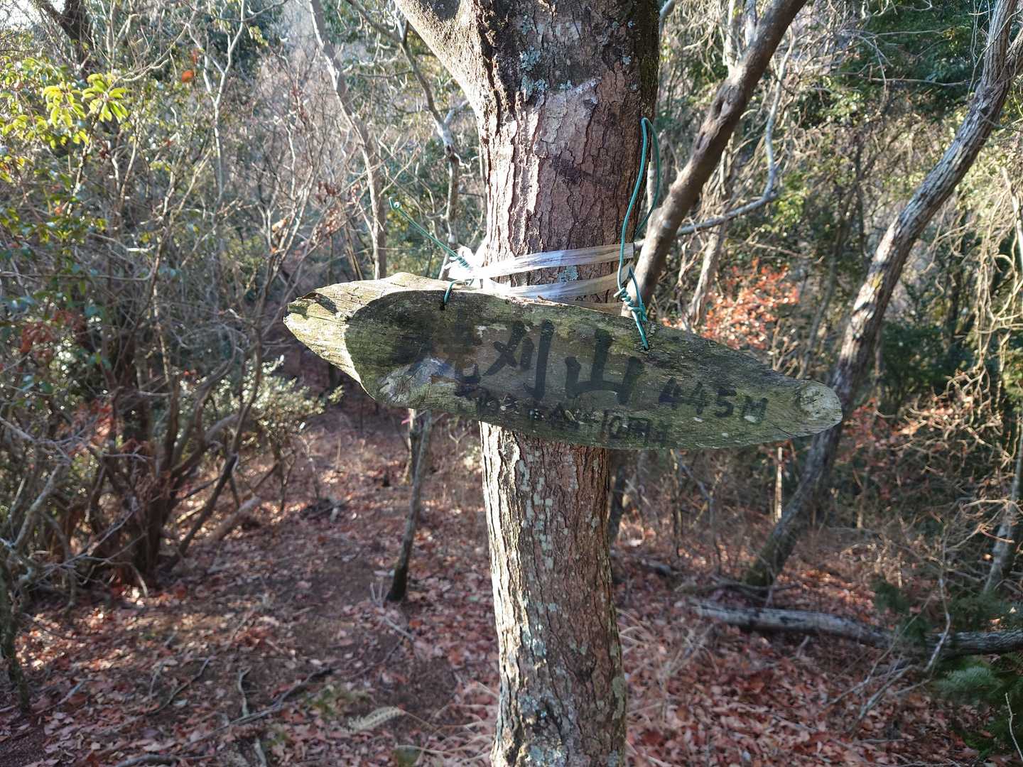 2座目の焼刈山