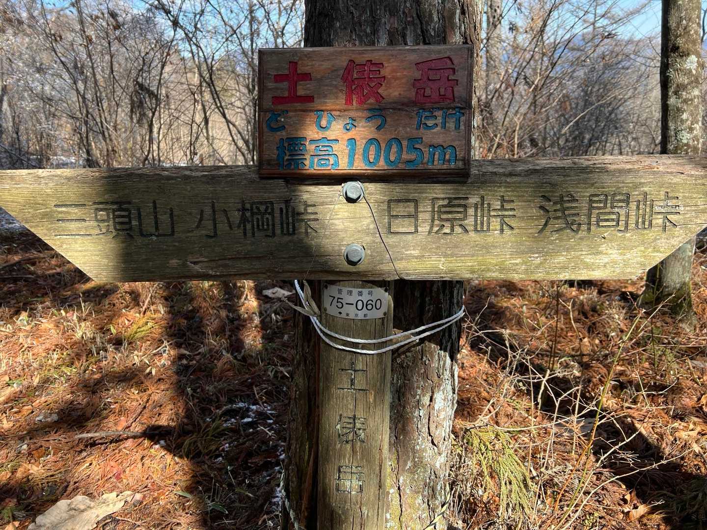 5座目 土俵岳