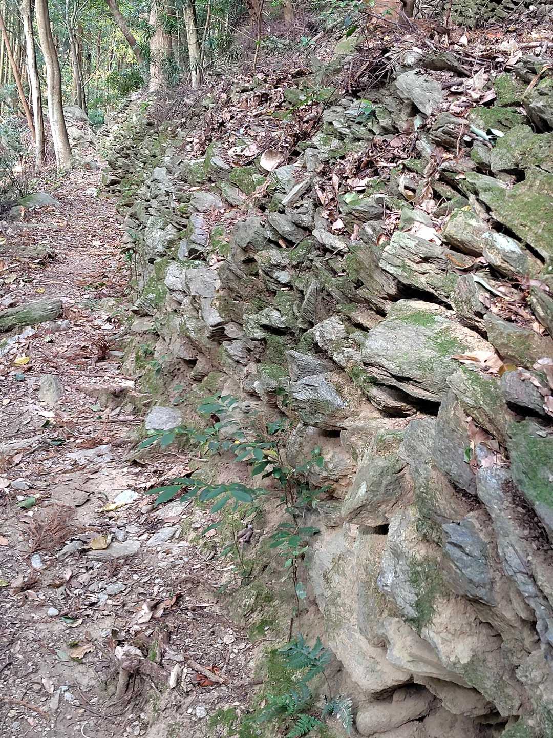 八郎岳-小八郎岳-千々峠 周回コースの写真