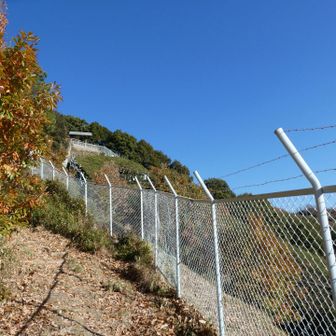 錨のライトアップだそうで