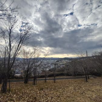 湖見えない角度