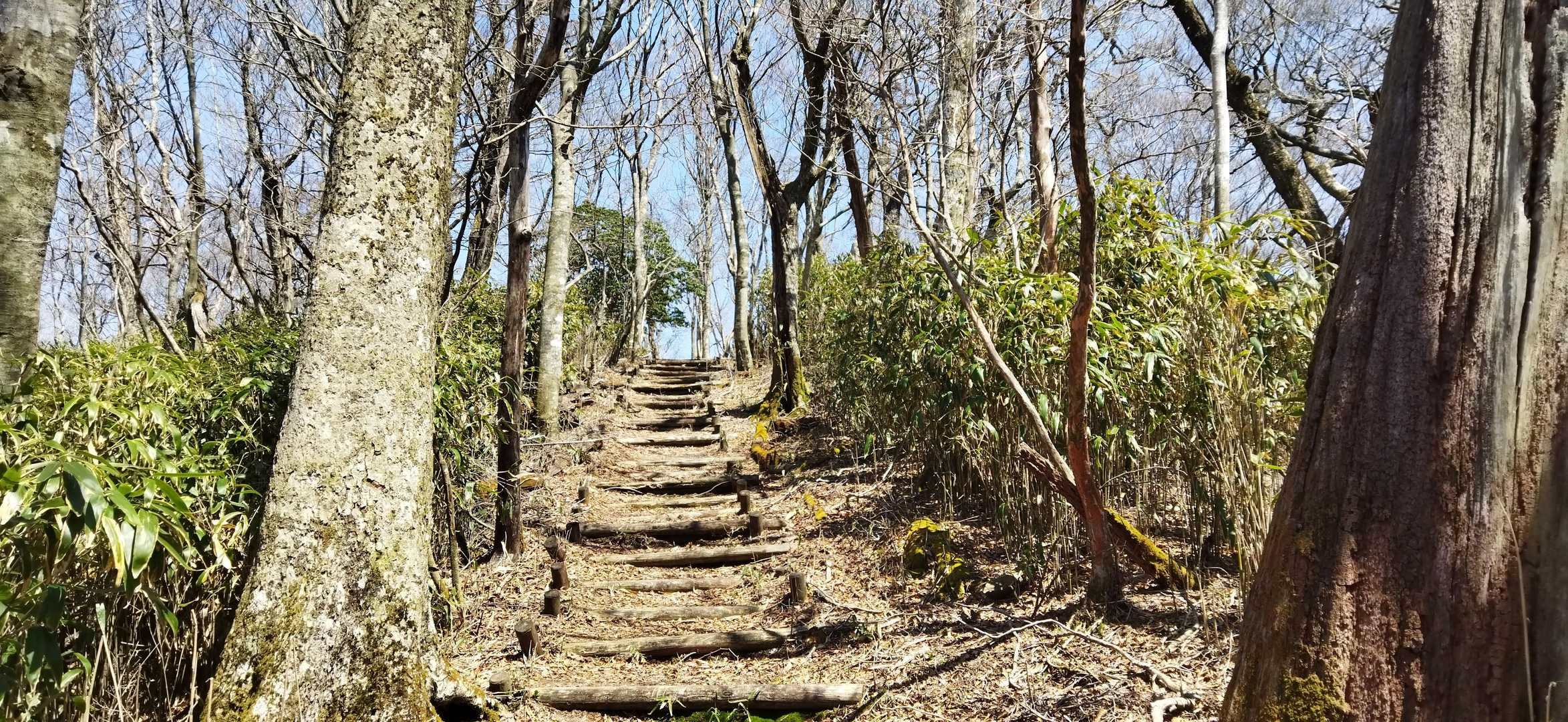 諸塚山 往復コースの写真