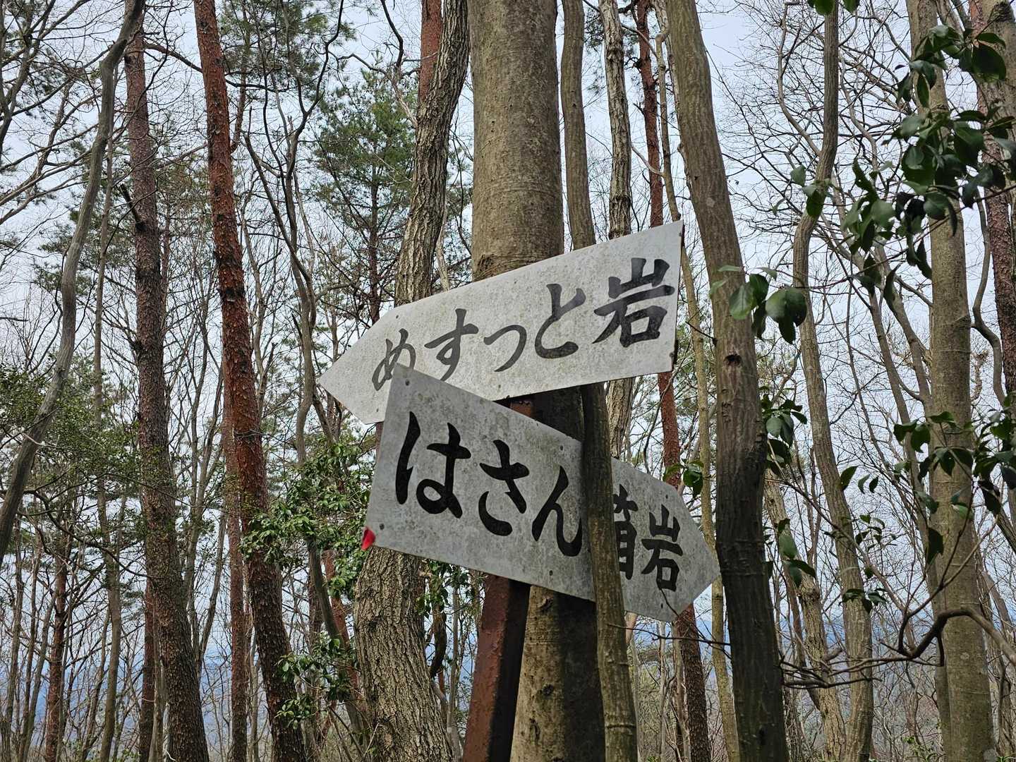 ぬすっと
はさん
嫌な予感しかしない名前🤣