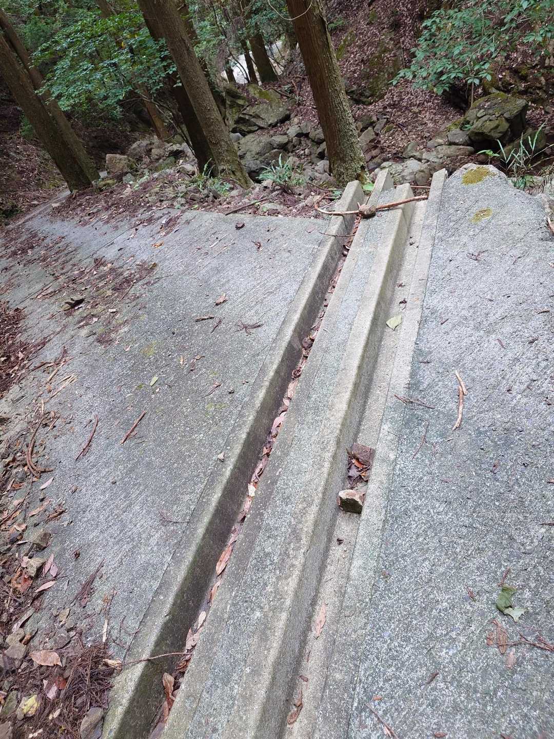 たまに、こんな切れ込みがあるから、お気をつけて❗️