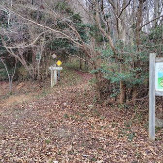 登山口に到着。
ここから右上の山道に進んでいきます。
日暮ヶ岳の登山案内版ありました。
