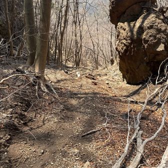 あとは降るだけなのが広すぎて正規ルート消失