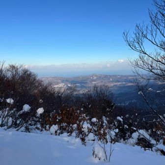 展望もばっちり👌