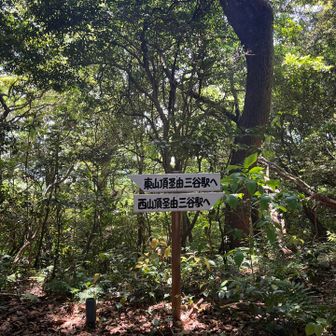 五井山・宮路山・御堂山 まずは西山から