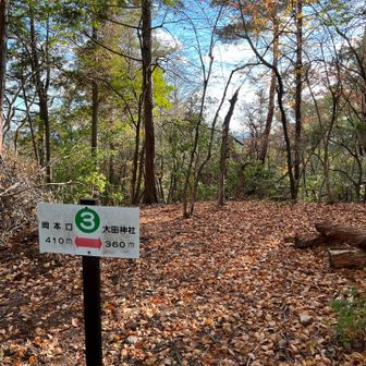 山道の両側にロープをはってくださっているので、迷う心配はありません。

岡本口と大田神社の両方の入口には、鹿除けの扉がありました🦌