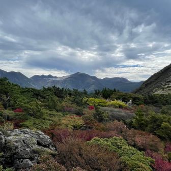 泉水山の山頂から