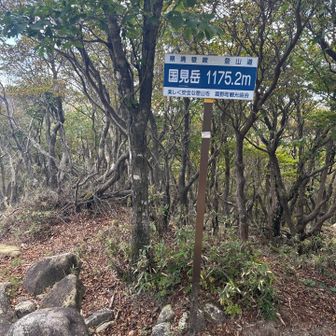 登頂〜