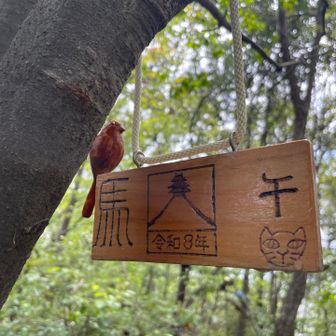 裏側
