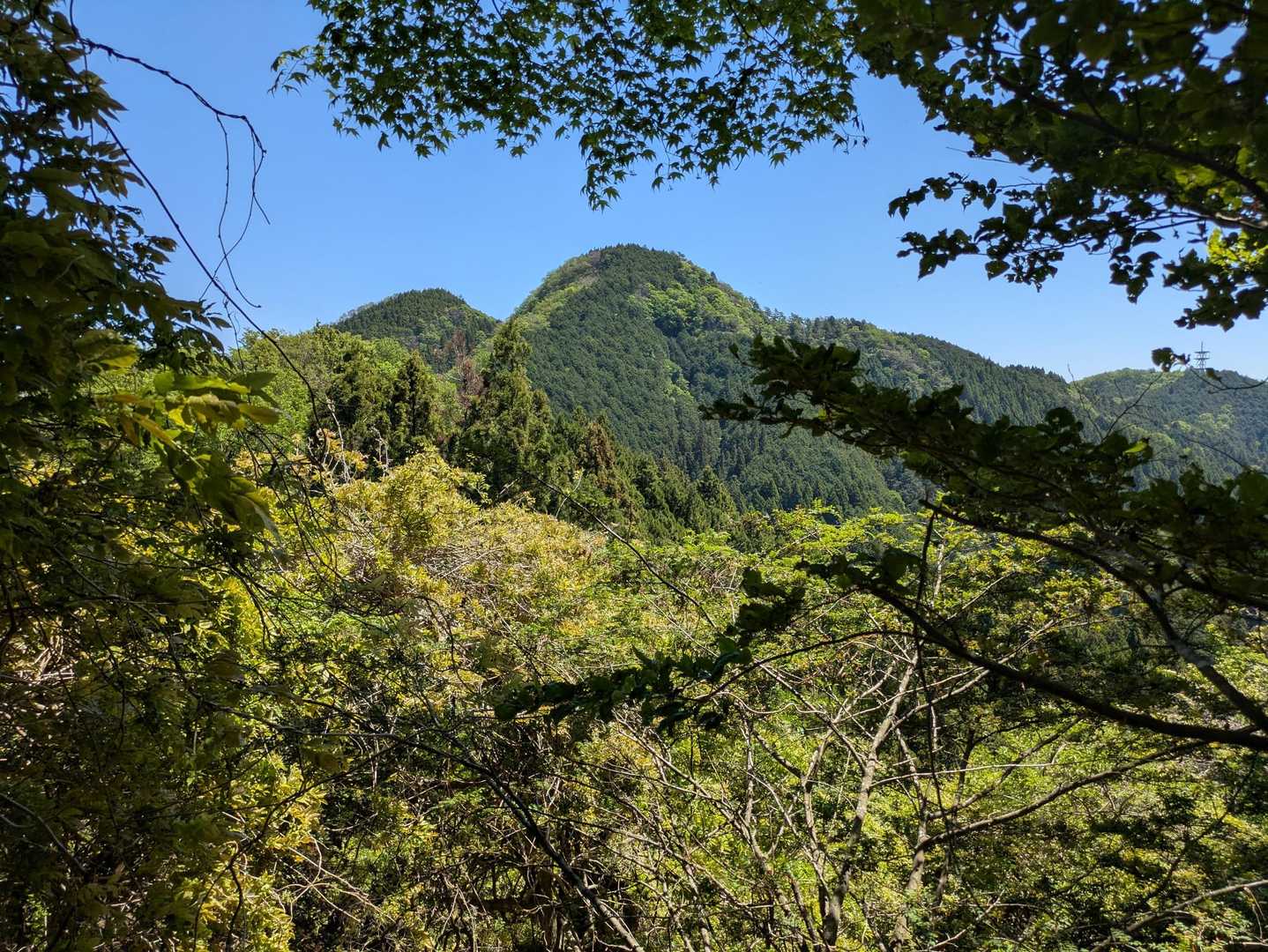 芦ヶ久保駅-二子山-焼山-蔦岩山-武川岳-伊豆ヶ岳登山口- 縦走コースの写真