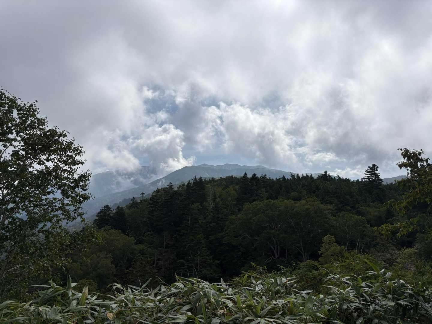 さっさと下る・・
下る途中に登ってくる方が・・「獣のにおいがする」とすれ違い様に・・

それ私のにおいです。きっと。もう何日もお風呂に入ってないんで、すみません。

と・・。
相当なにおいを発していると思われる・・
（申し訳ない・・）