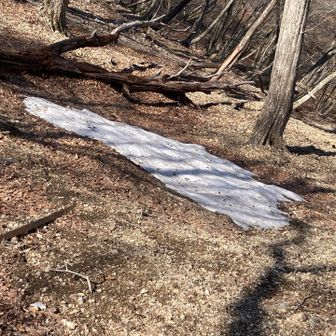 まだ雪が残ってた