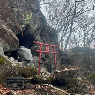 はぁはぁ言いながら登ってきています💦
でも3人でお話、賑やか😆😁😃