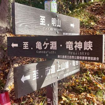 三葉峠周辺の紅葉🍁が絶好調です