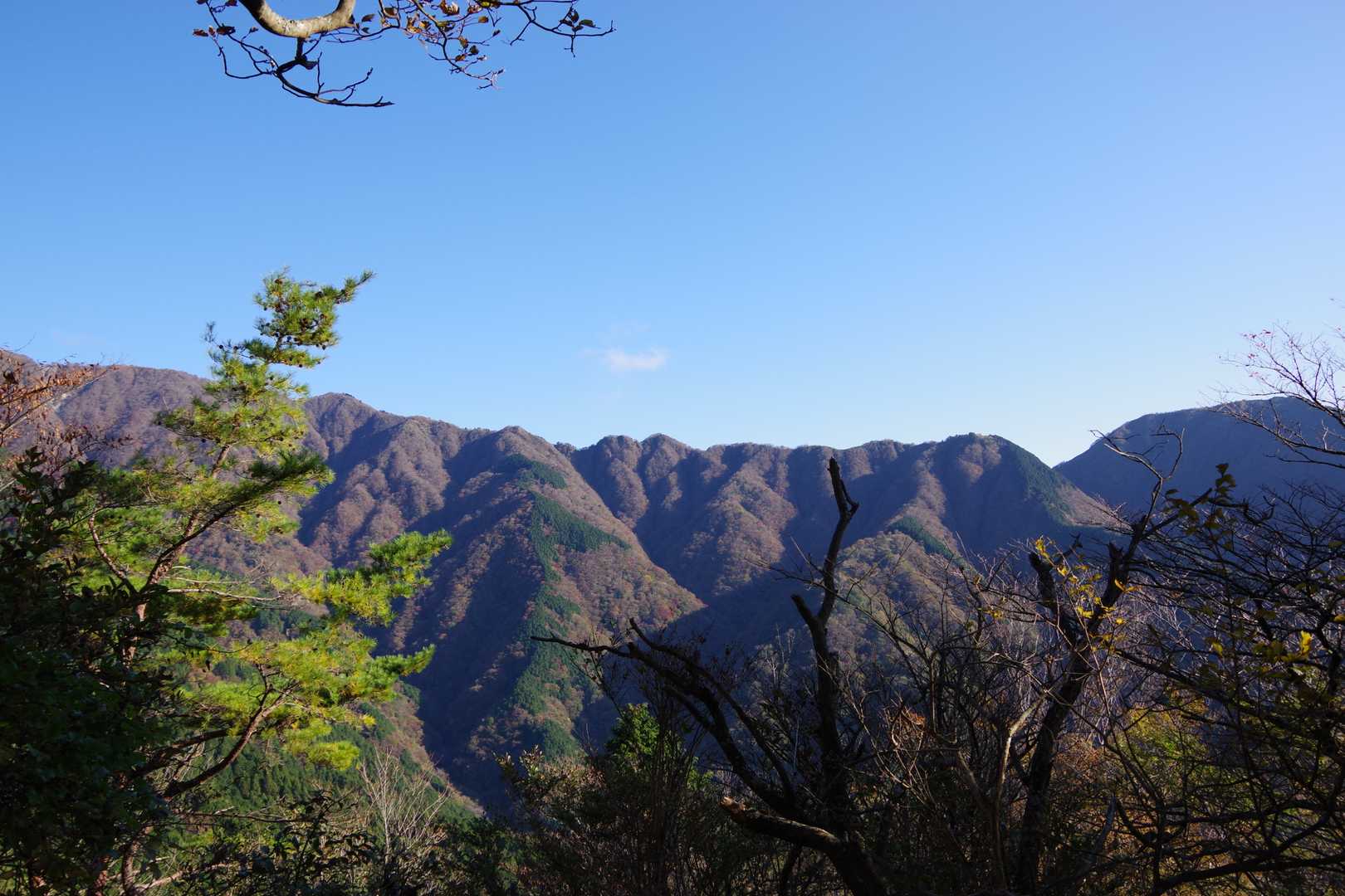 玄倉バス停-ゲート-弁当沢ノ頭-不動ノ峰-丹沢山-竜ヶ馬場 縦走コースの写真