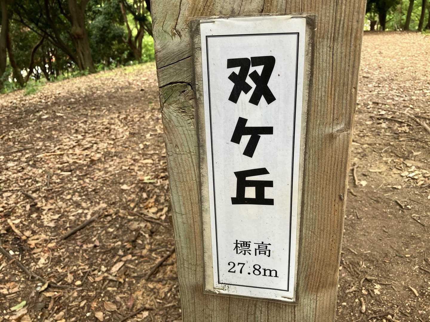 第一のピーク⛰️