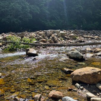地図の川の位置はズレています。
向こう岸に渡らないといけないのかと思ったけど間違いで、渡ってから引き返しました。
似たようなルートミスを数回繰り返して時間ロス