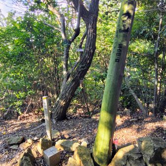 十方山山頂　
奥に磐座っぽい岩あり🪨