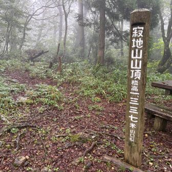 いつもの真っ白