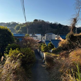 下りてきました