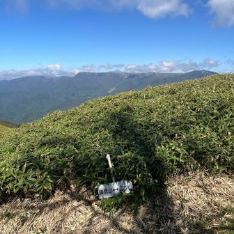 鉢伏山、二つ山、横川山の分岐