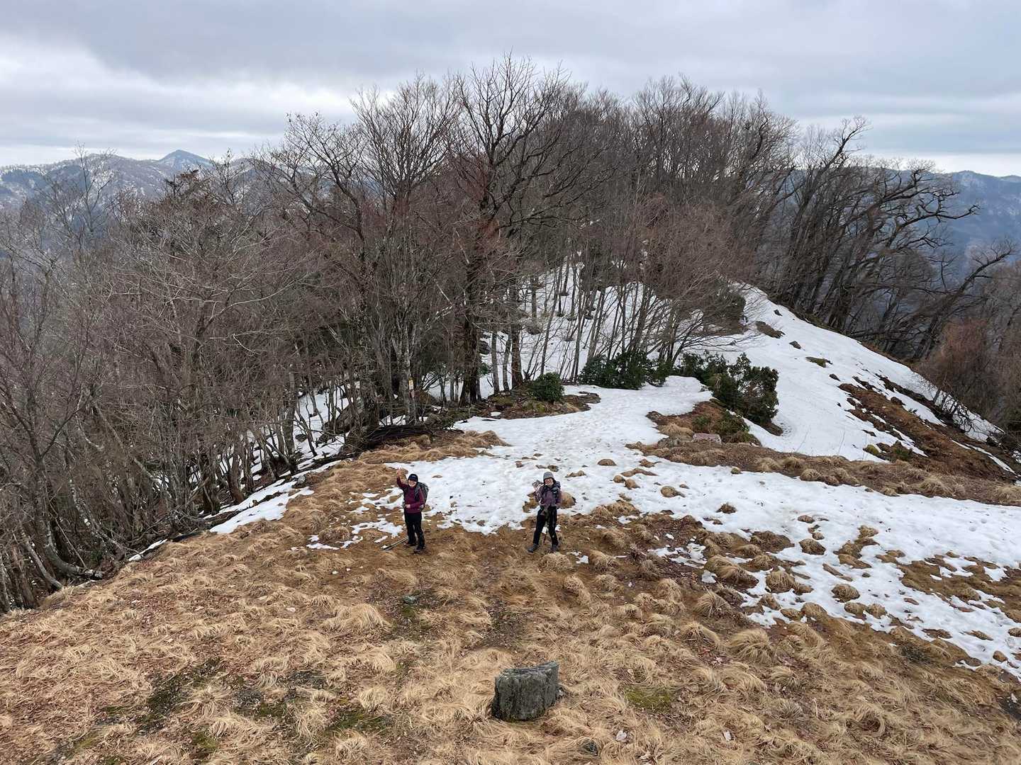 おーい👋