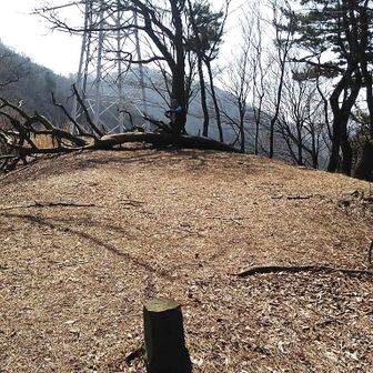 滝沢ノ頭に到着！鉄塔の下で丹沢主脈を見ながら🍩ミズヒノ頭に向かいます!