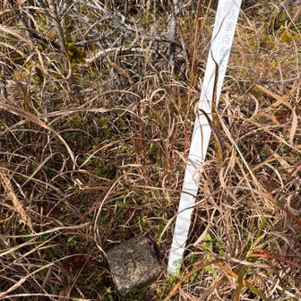 山頂三角点が草で埋もれてる