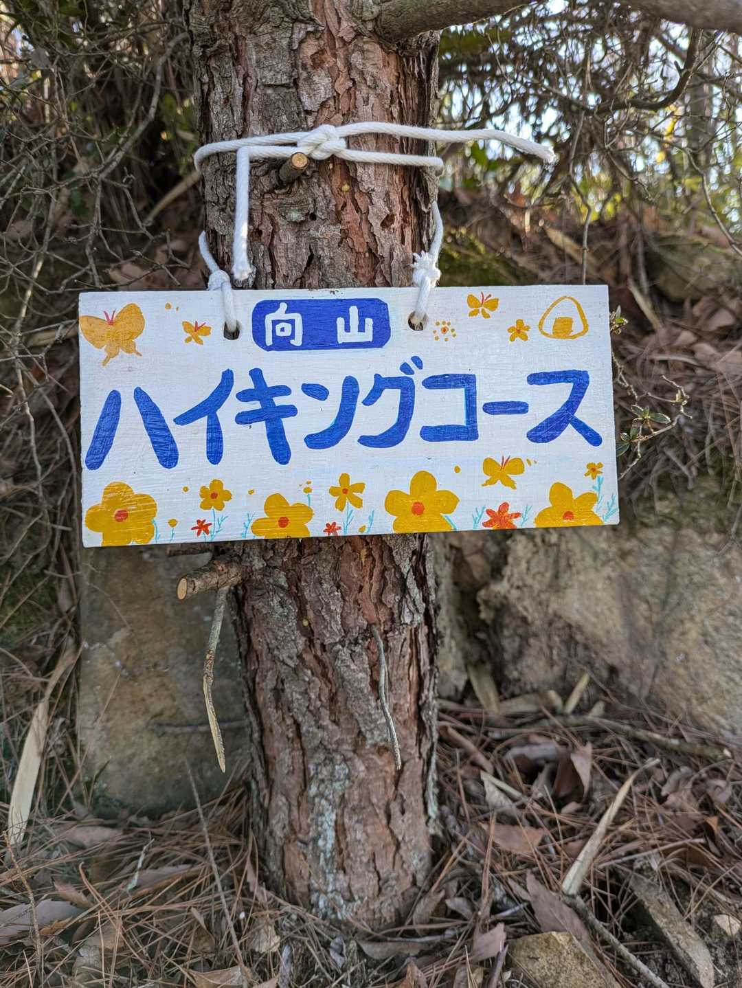 登山口