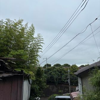 スタート時、雨が止んでくれました