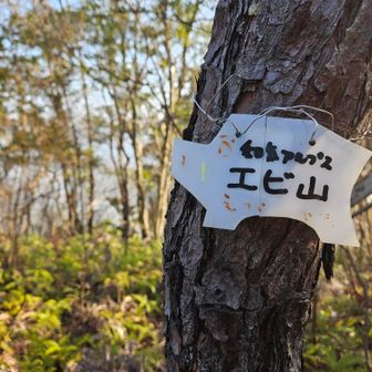 通り過ぎそうな所にあった⛰️

てかすぐピークに到着する。