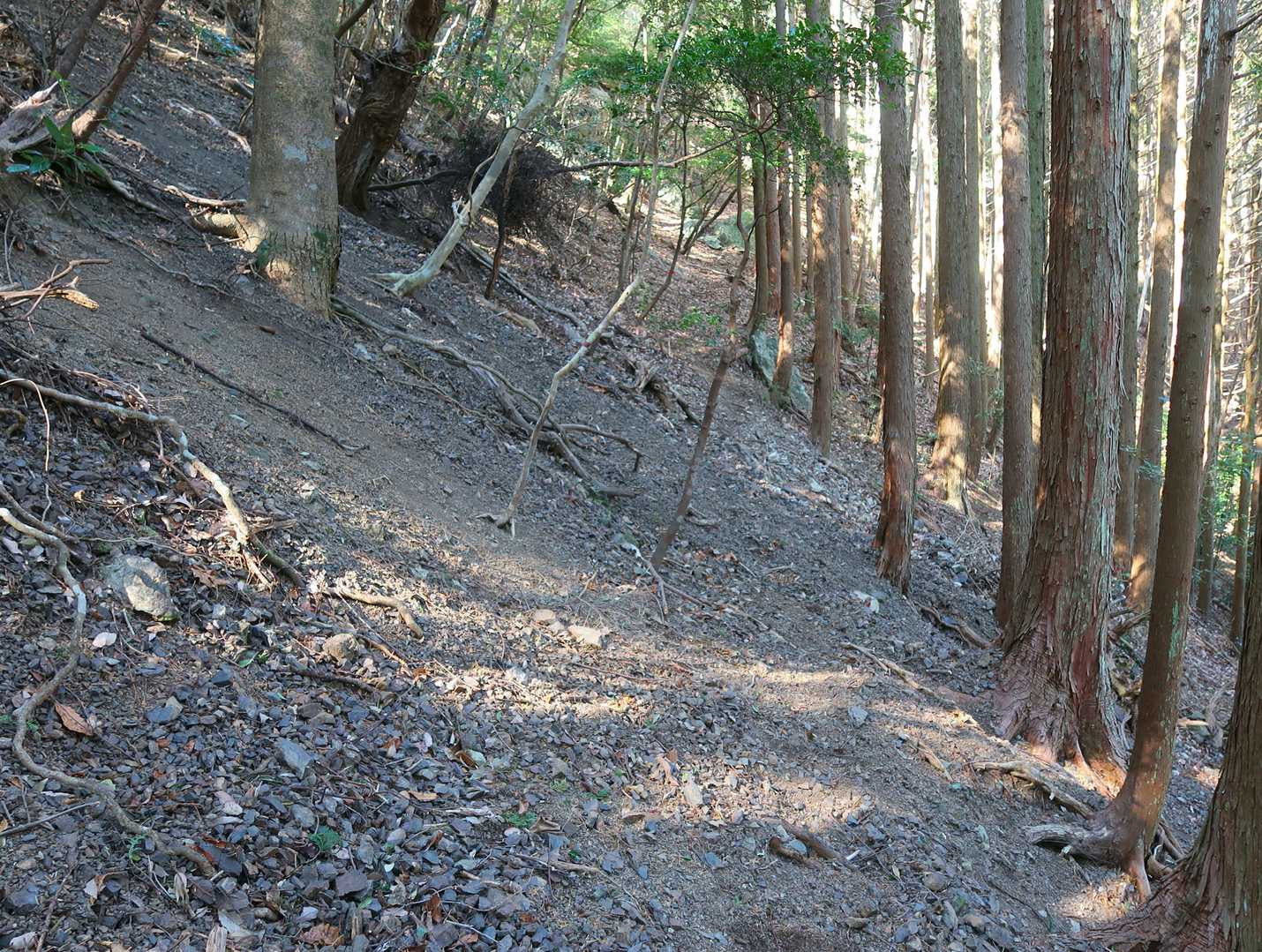 周回せず、ルート確認の為、ヤマップ地図ルートで下山･･･ザレのトラバースが多く、斜度も緩い