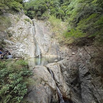 雄滝も少なめ💦