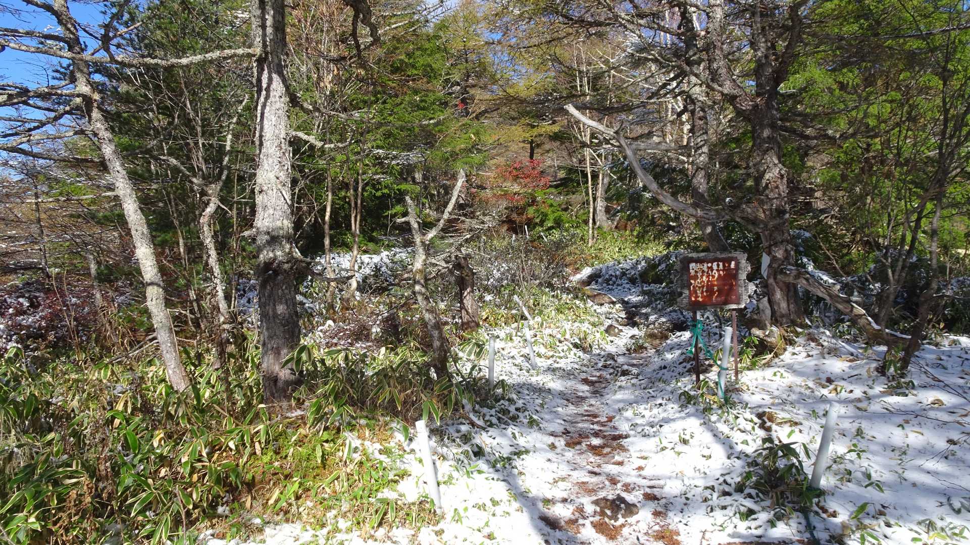 スタート地点の雪は、下山の時は消えてました