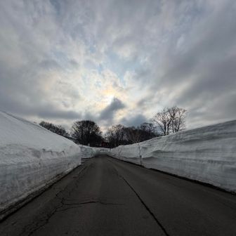 ふくらはぎが痛い😭😭😭
スキーブーツを履いてる感じ🎿
道路は余計に辛い😭😭