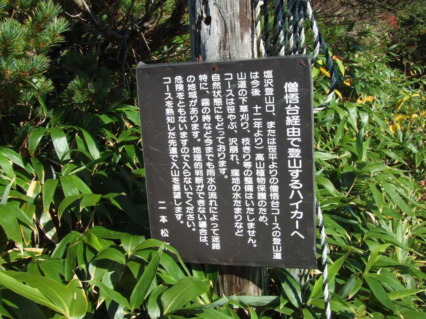 なんで刈り払いしてくれたんだろ