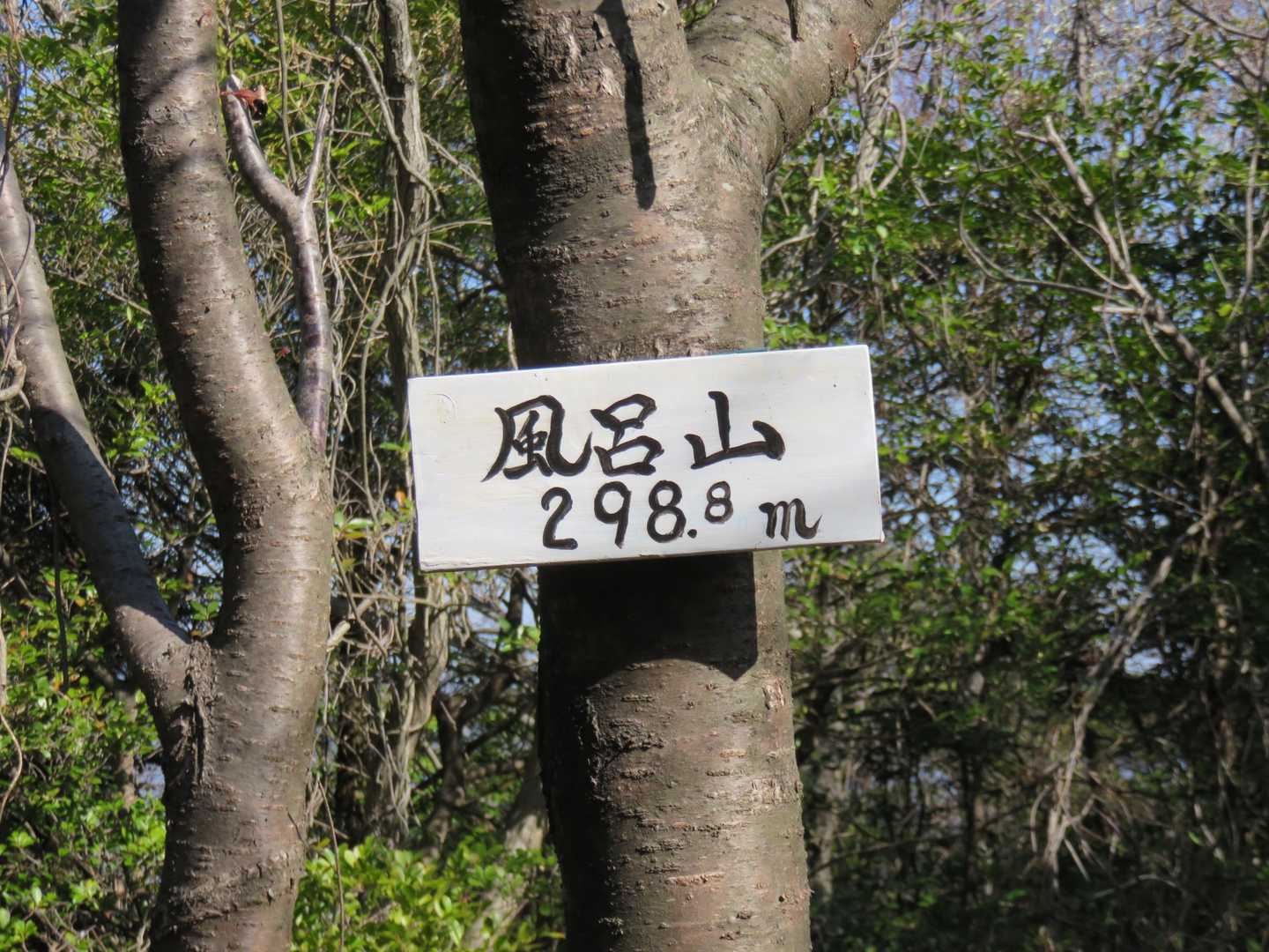 風呂山の山頂です