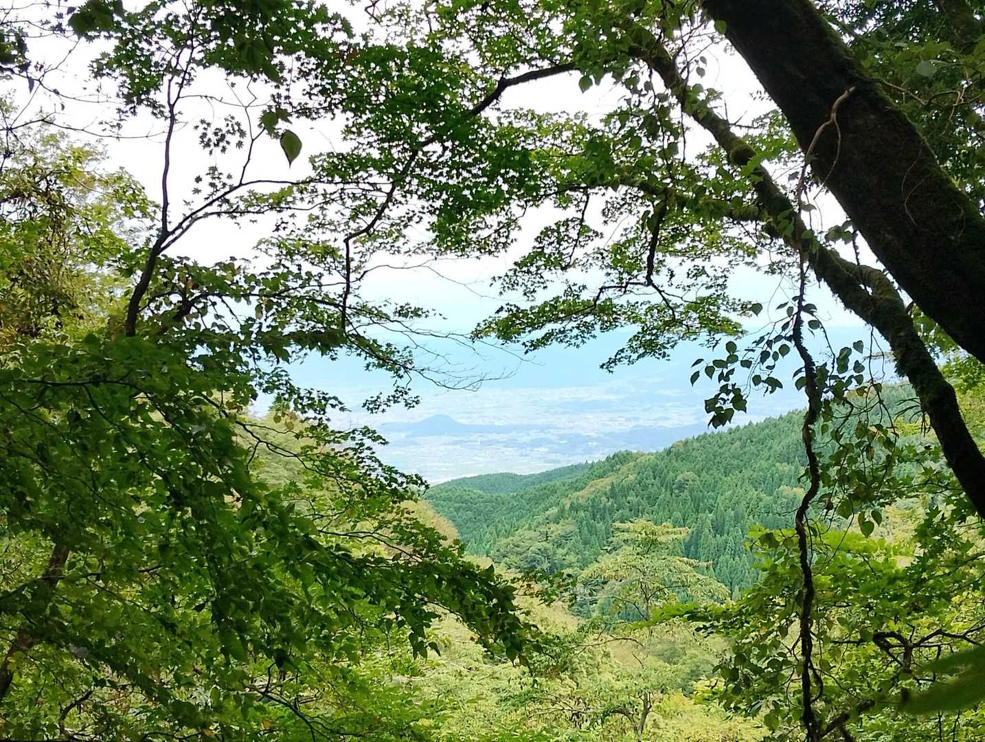 急登の合間に

大和三山も見える
