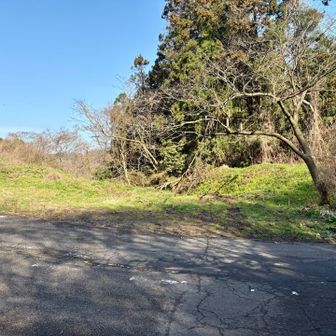 出てきたところ笑