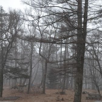 直後、雲行きが怪しくなり雪が舞い始めた☃️う〜寒い