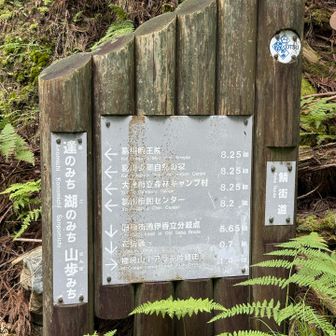 分岐の案内板