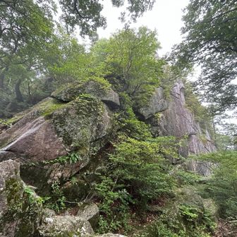 宝満山山頂を見上げる